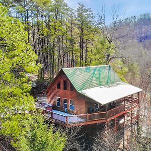 Wilderness Lodge, Hot Tub, Game Room, Pool Access, 1089 Free Tickets Each Paid Day, Dollywood And M
